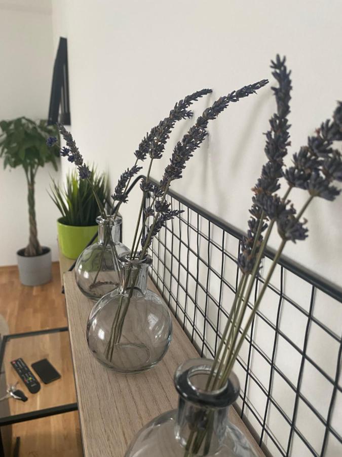 Penthouse West S Apartment Varazdin Bagian luar foto